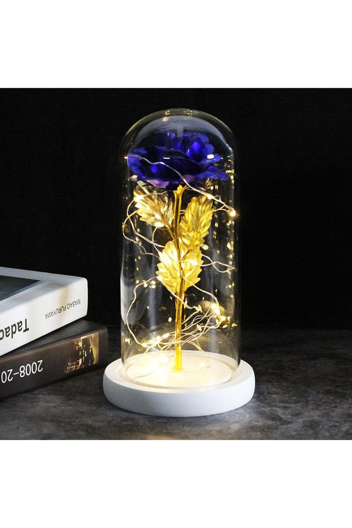 Lisslune | illuminated enchanted rose lamp