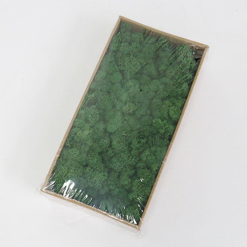 Lisslune | Lush Green Moss Wall Art: The Timeless Beauty of Nature