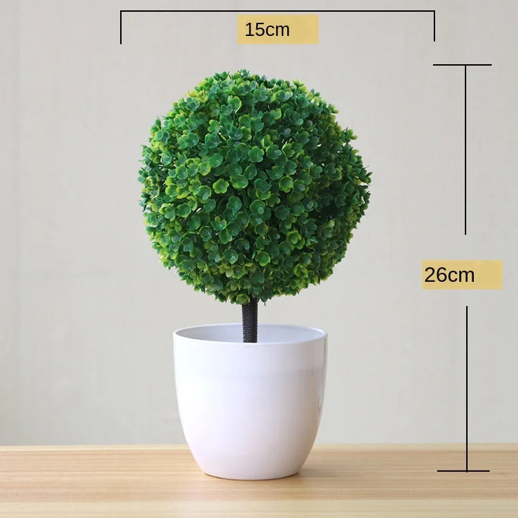 Lisslune | Small Tree Pot Bonsai Plants