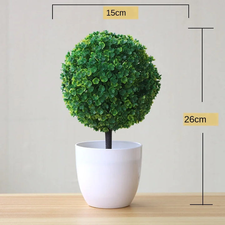 Lisslune | Small Tree Pot Bonsai Plants