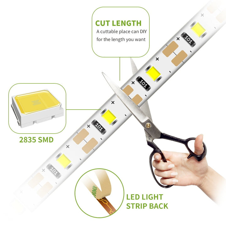 Lisslune | Glowstick Motion Sensor LED Strip Light