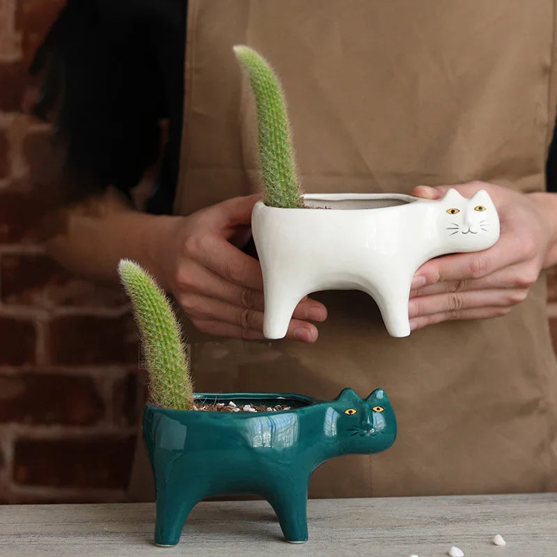 Rynx | Cute Cat Ceramic Pot Garden Flower Plant Animal Picture Cactus Plant Pot Succulent Plant Container Table Decoration