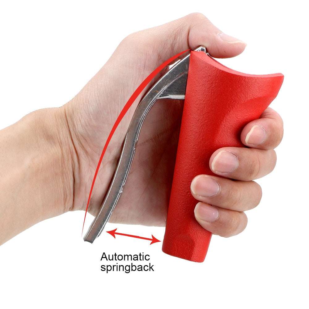 Lisslune | Zinc Quick Nutcracker Tool