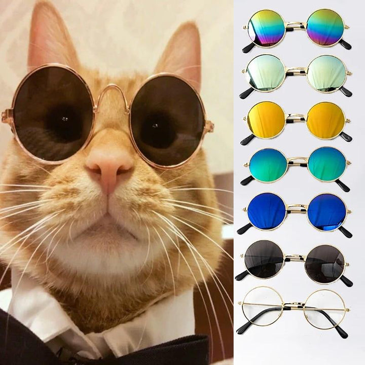 Lisslune | Retro sunglasses for cats