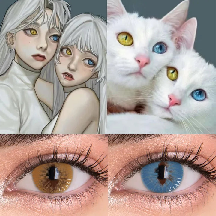 Rynx | 1 Pair Colored Contact Lenses Natural Eyes Contact Brown Lenses Blue Lenses Cat Eye Lenses Monet Gray Eye Lens Annual Sale