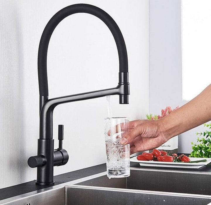 Lisslune | Double Outlet Drinking Water Faucet Filtered Kitchen Faucets