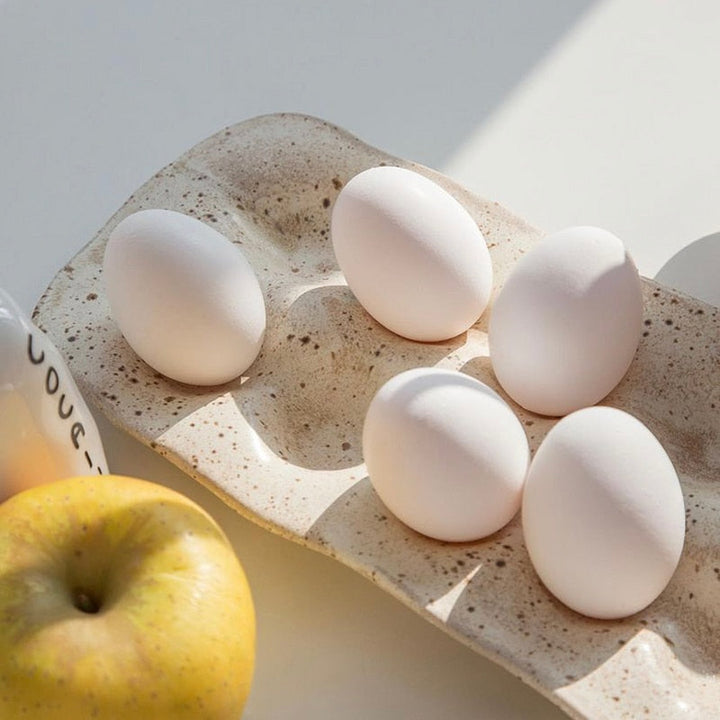 Lisslune | Nordic Resin Egg Storage Tray