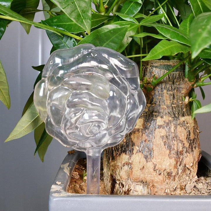 Lisslune | Transparent automatic drip irrigation system for the care of houseplants with water level indicator