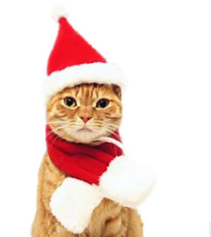 Lisslune | Cat Christmas costume