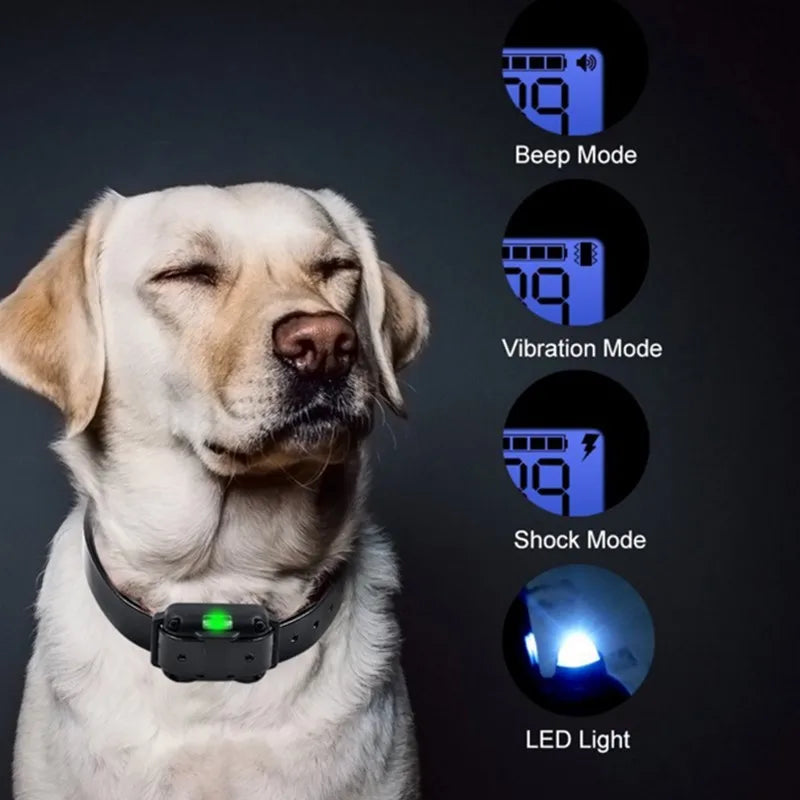 Lisslune | Adjustable Electric Dog Training E-Collar – Safe, Effective Remote Control