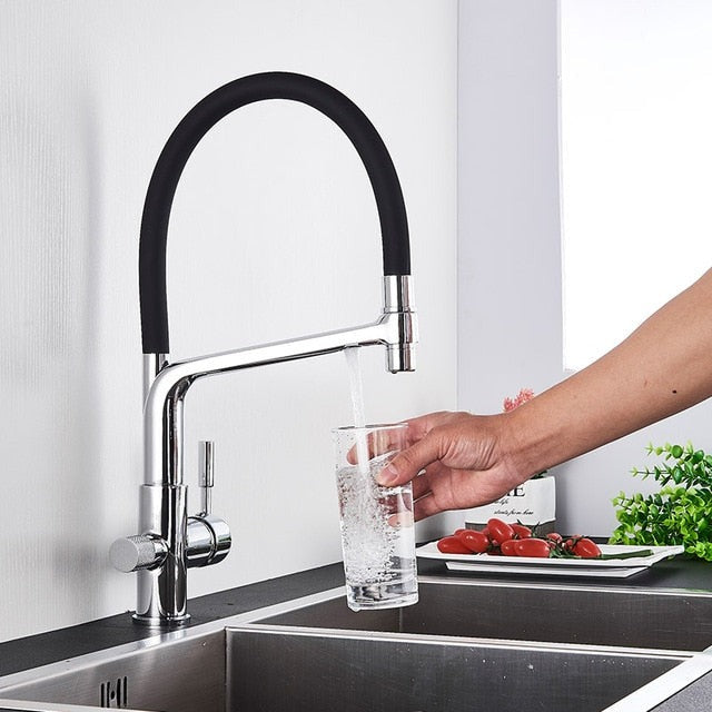 Lisslune | Double Outlet Drinking Water Faucet Filtered Kitchen Faucets