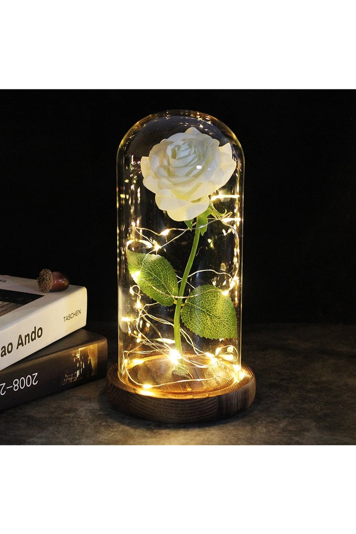 Lisslune | illuminated enchanted rose lamp