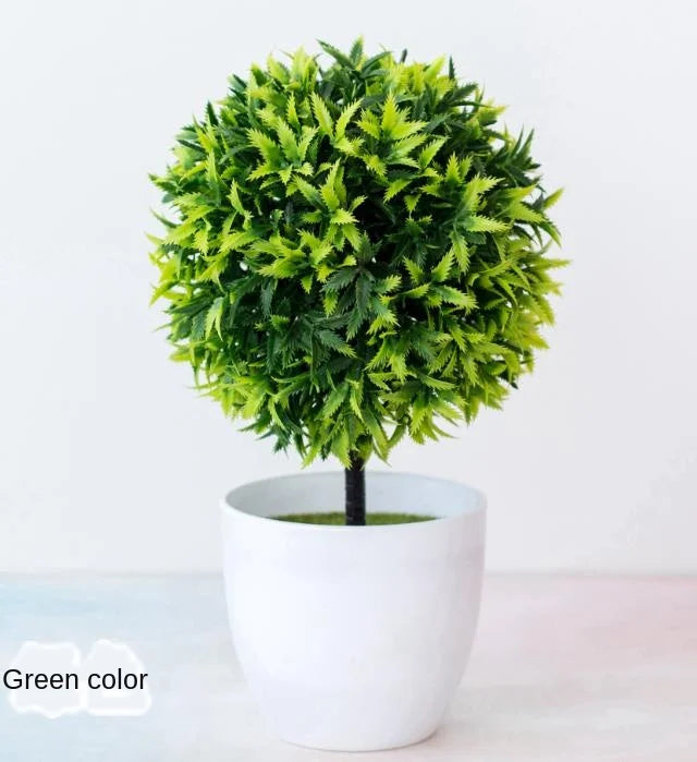 Lisslune | Small Tree Pot Bonsai Plants