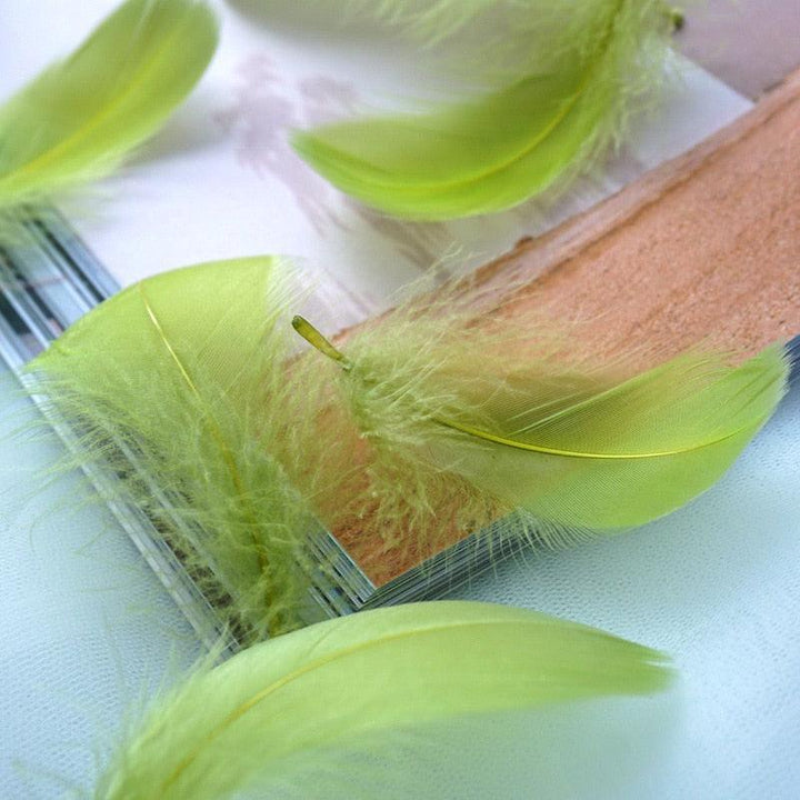 Lisslune | Feather Elegance Craft Kit: Enhance weddings, fashion, and creative projects