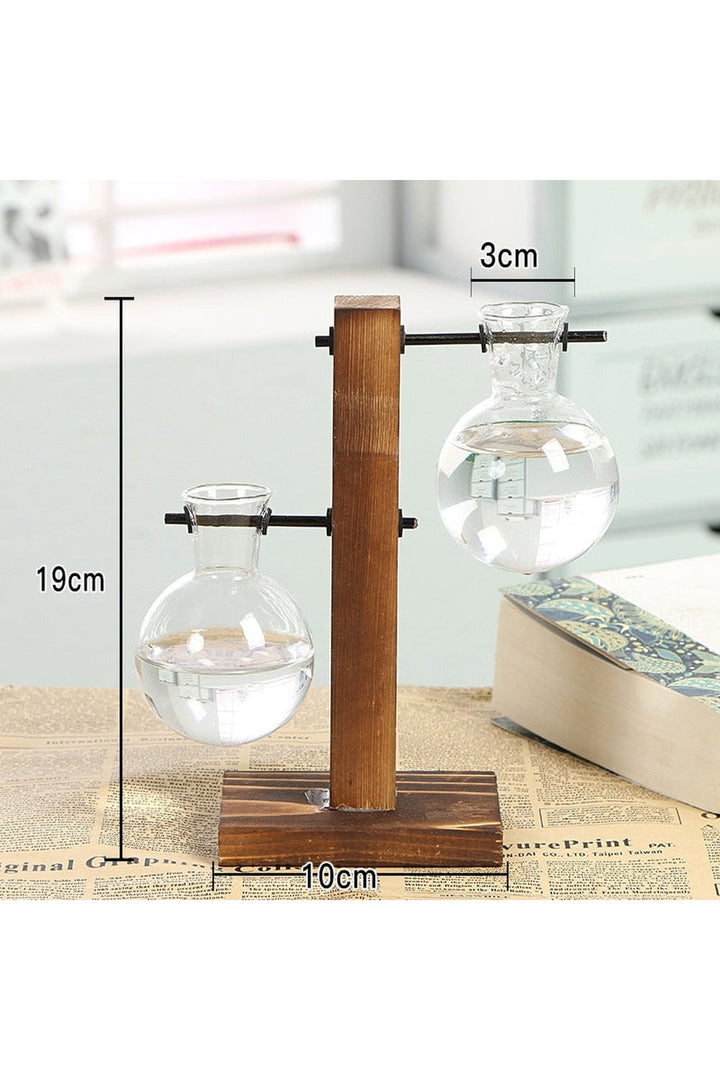 Lisslune | Hydroculture Plant Vase Set