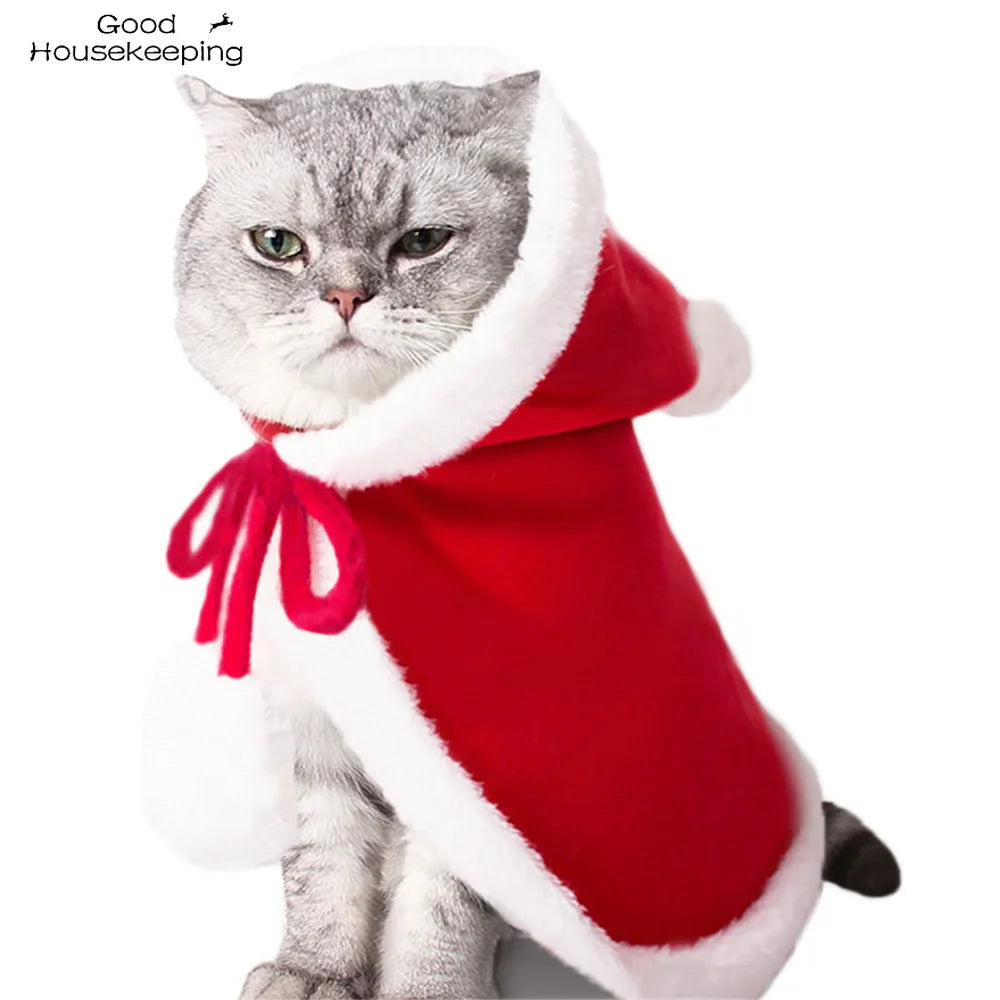 Lisslune | Cat Christmas costume