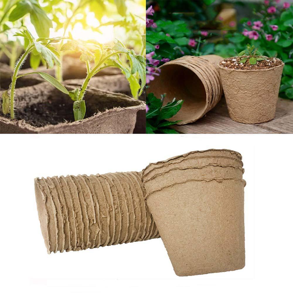 Lisslune | Eco-friendly peat pot seedling kit: Green growth with biodegradable plant pots