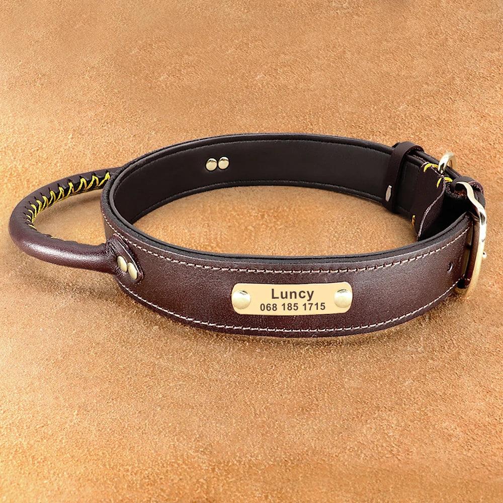 Lisslune | Custom Engraved Premium Leather Dog Collar with Control Handle for Medium to Large Breeds