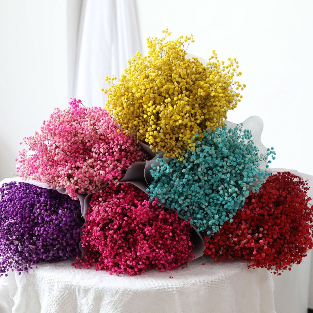 Lisslune | Dried Preserved Gypsophila Flower Bouquet – Natural Decor