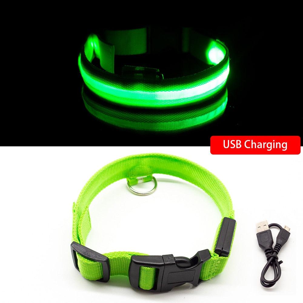 Lisslune | Light & Protect: Rechargeable Waterproof LED Dog Collar for Enhanced Nighttime Safety