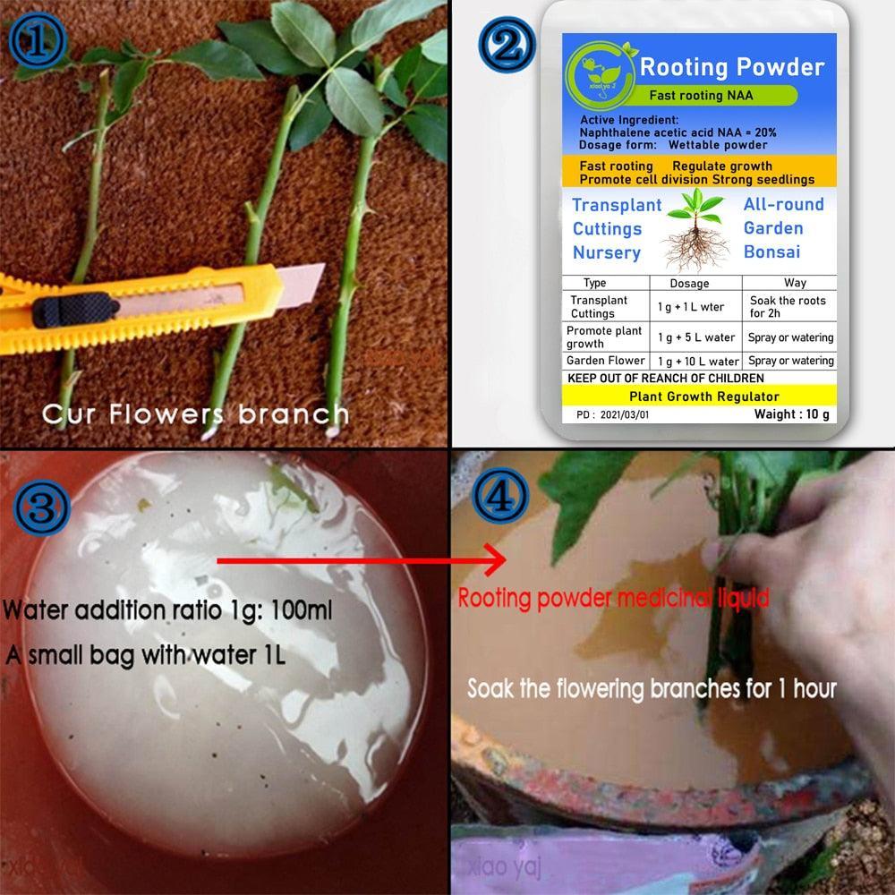Lisslune | Bonsai Growth Catalyst: Root Enhancer & Flower Booster
