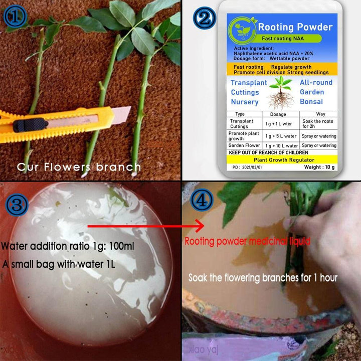 Lisslune | Bonsai Growth Catalyst: Root Enhancer & Flower Booster