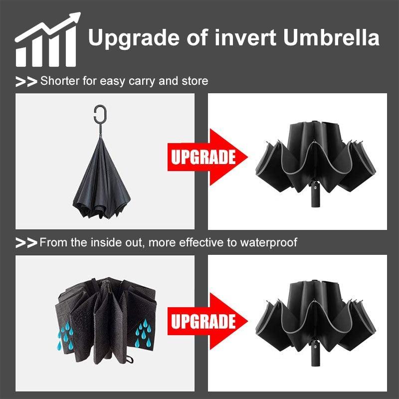 Lisslune | Stylish 10-rib Compact Automatic Umbrella - Resilient and Trendy