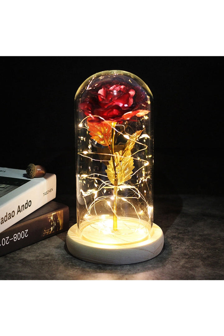 Lisslune | illuminated enchanted rose lamp