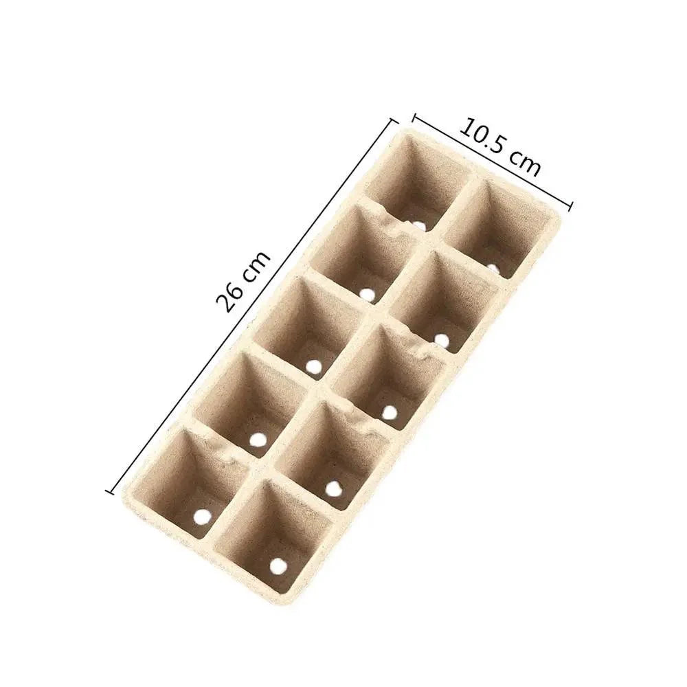 Lisslune | Eco-friendly Biodegradable Seedling Starter Kit with 5 Paper Pulp Pots