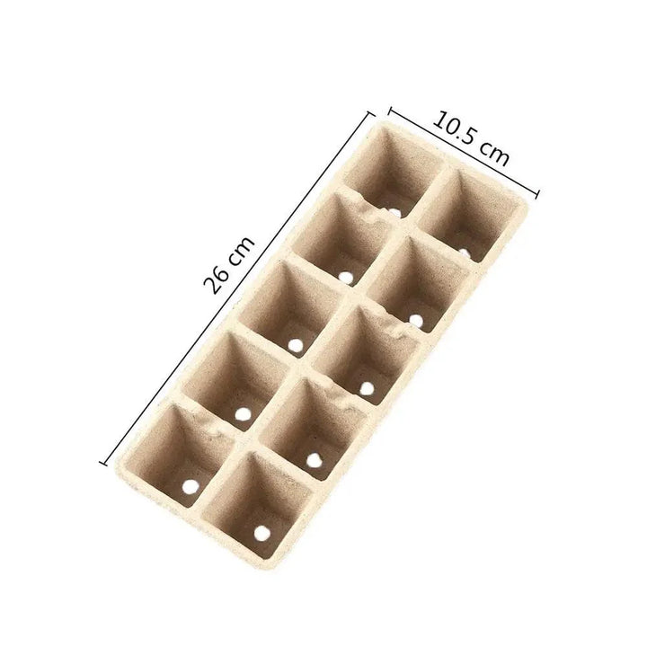 Lisslune | Eco-friendly Biodegradable Seedling Starter Kit with 5 Paper Pulp Pots