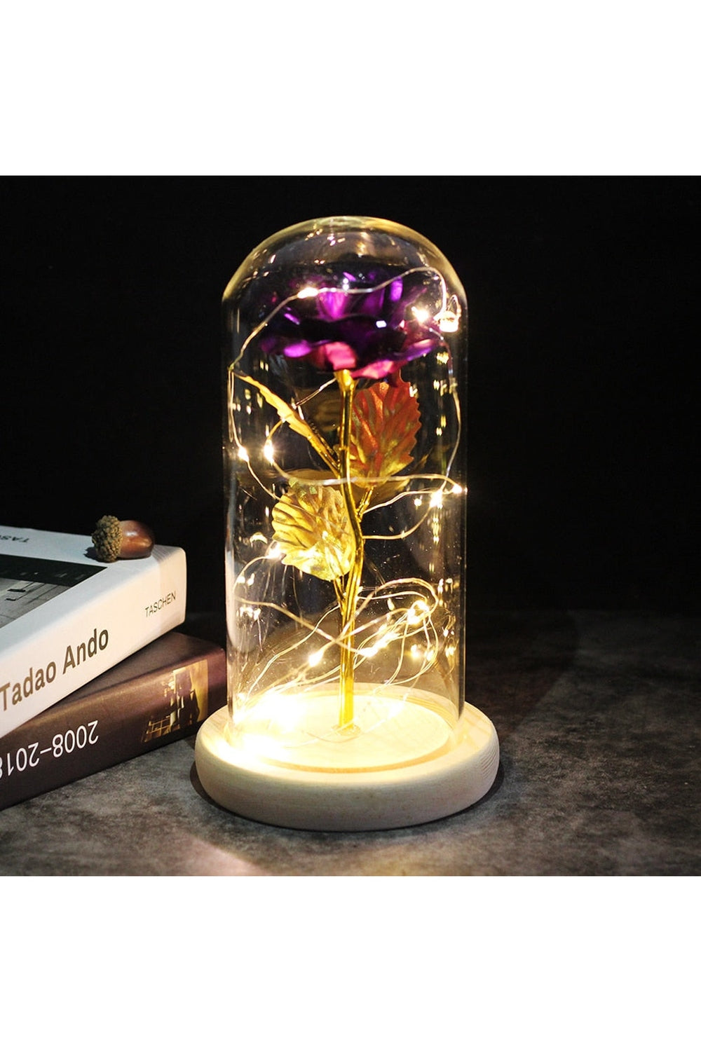 Lisslune | illuminated enchanted rose lamp