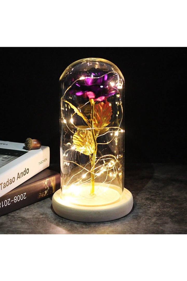 Lisslune | illuminated enchanted rose lamp