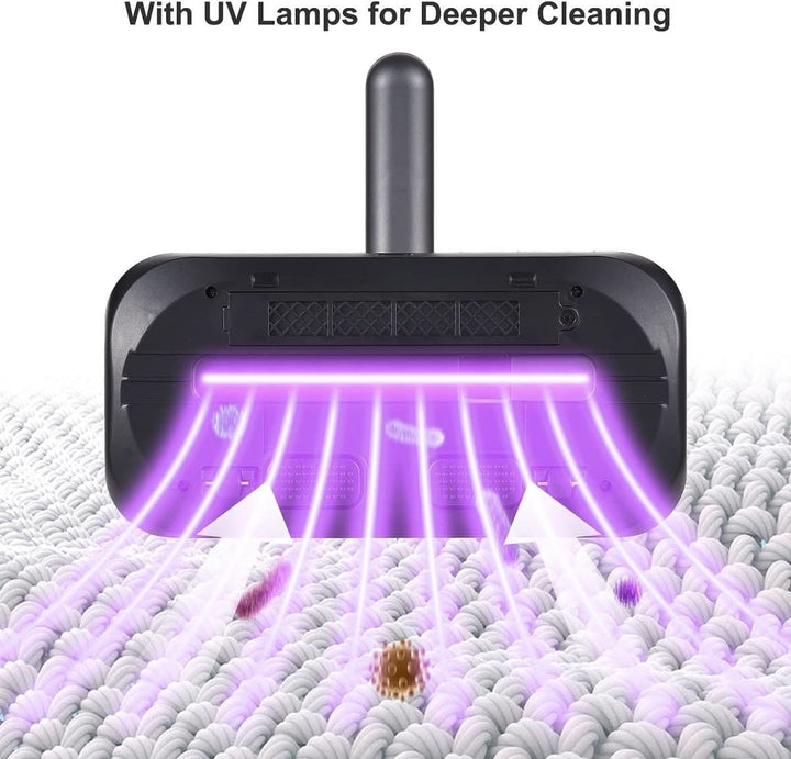 Lisslune | Cordless cleaning & smoothing with HEPA protection