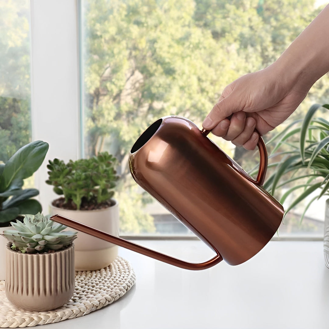 Lisslune | Stainless Steel Pourer - 1.5L Long Watering Can for Plants and Flowers