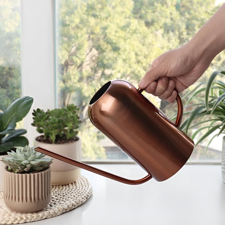Lisslune | Stainless Steel Pourer - 1.5L Long Watering Can for Plants and Flowers