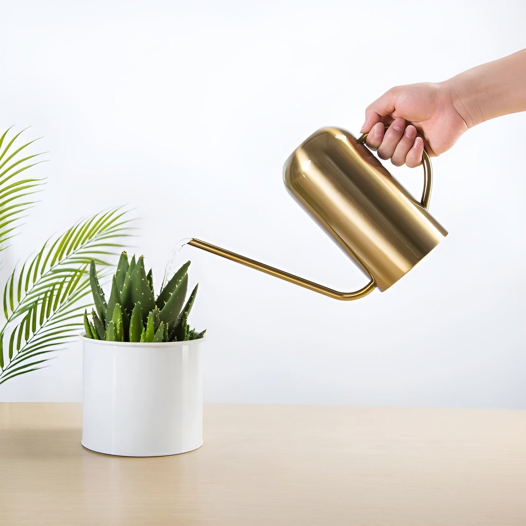 Lisslune | Stainless Steel Pourer - 1.5L Long Watering Can for Plants and Flowers