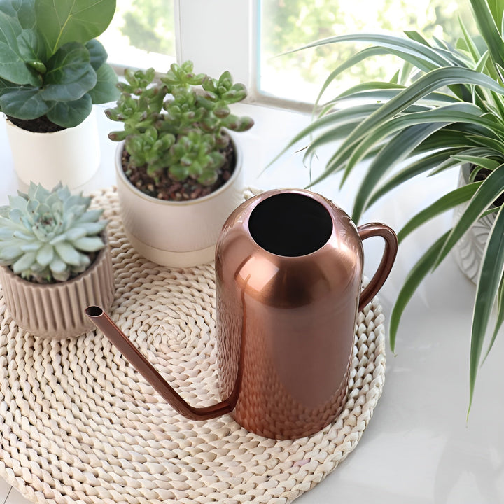 Lisslune | Stainless Steel Pourer - 1.5L Long Watering Can for Plants and Flowers