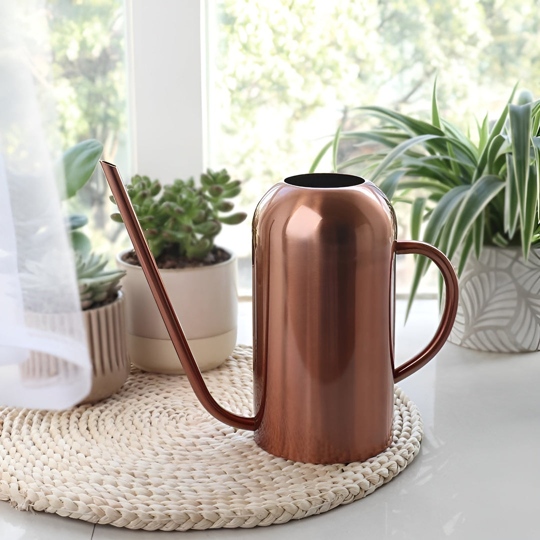 Lisslune | Stainless Steel Pourer - 1.5L Long Watering Can for Plants and Flowers