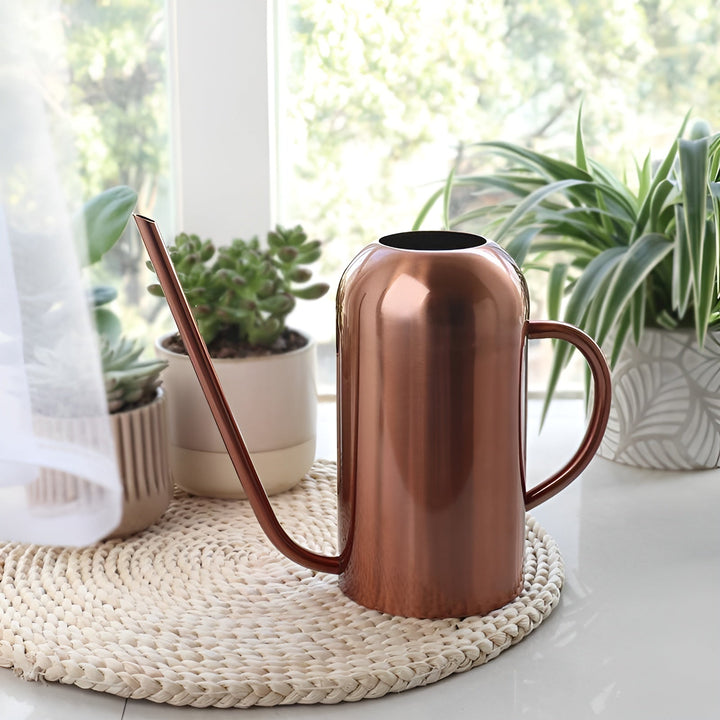 Lisslune | Stainless Steel Pourer - 1.5L Long Watering Can for Plants and Flowers