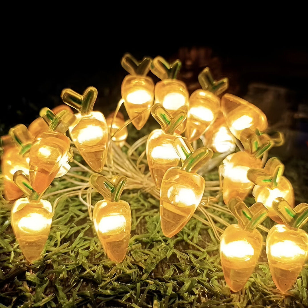 Lisslune | TwinkleNest LED string lights