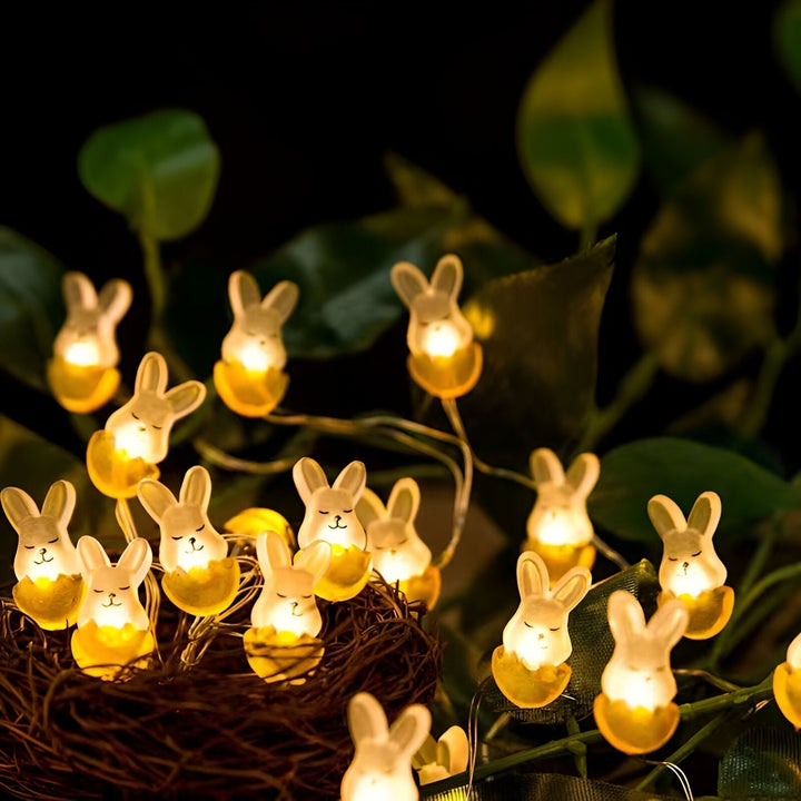 Lisslune | TwinkleNest LED string lights