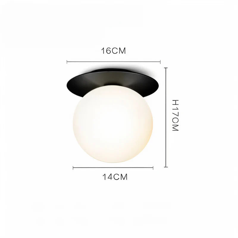 Lisslune | GlowOrb LED Ceiling Light Globe