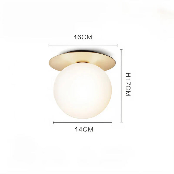Lisslune | GlowOrb LED Ceiling Light Globe