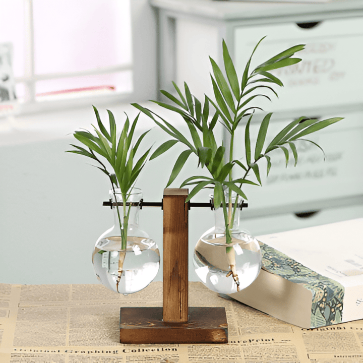 Lisslune | Rustic Wooden Hydroponic Plant Holder with Glass Vase