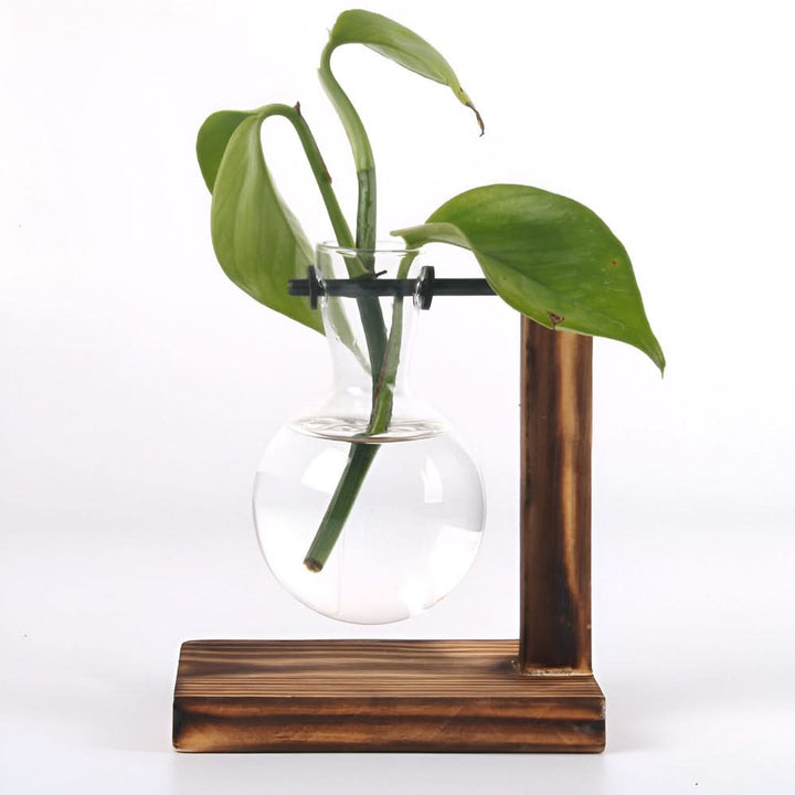 Lisslune | Rustic Wooden Hydroponic Plant Holder with Glass Vase