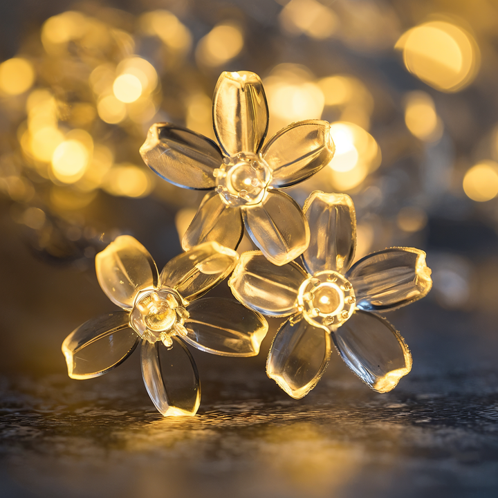 Lisslune | Sparkle String Lights - Decorative Ball, Flower, Star, Snowflake LED String Lights