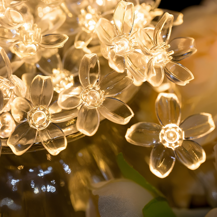 Lisslune | Sparkle String Lights - Decorative Ball, Flower, Star, Snowflake LED String Lights