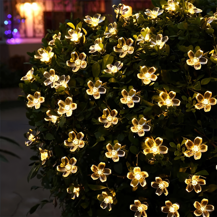 Lisslune | Sparkle String Lights - Decorative Ball, Flower, Star, Snowflake LED String Lights