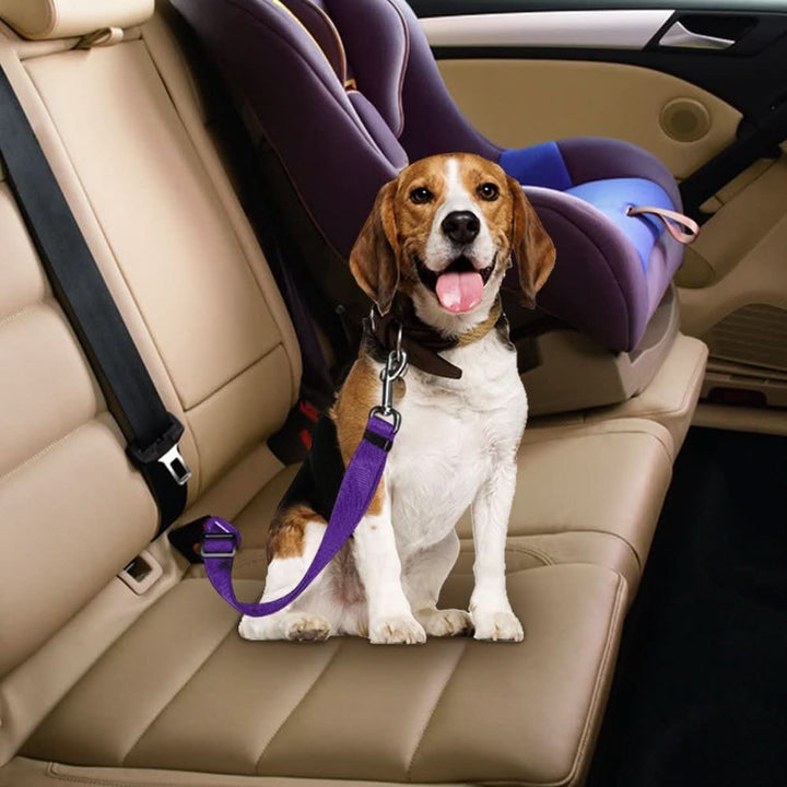 Lisslune | PETECURE – Adjustable safety belt for pets in the car