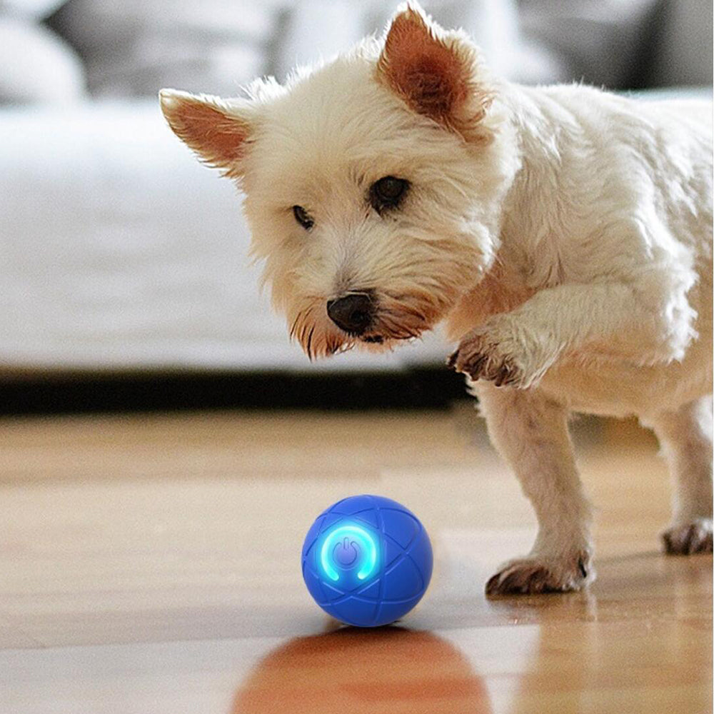 Lisslune | Interactive Play Ball for Pets – Automatically Rolling & Jumping